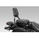 Sissybar DPM Cruiser