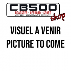 RA0101HCU : Cúpula racing Ermax Honda Cup CB500X CB500F CBR500R